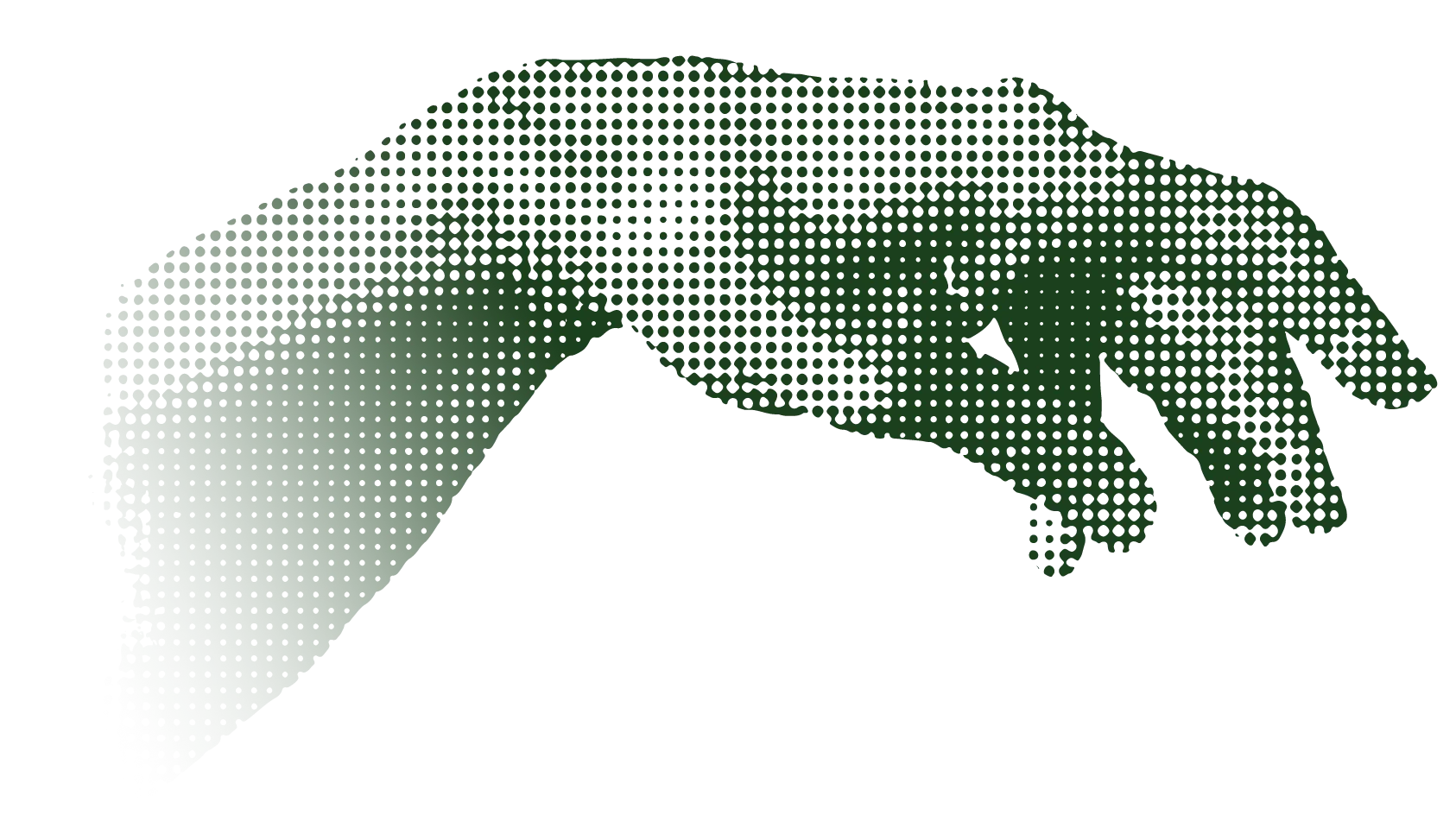 Hand reaching from the left